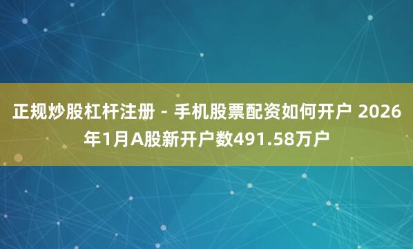 正规炒股杠杆注册 - 手机股票配资如何开户 2026年1月A股新开户数491.58万户