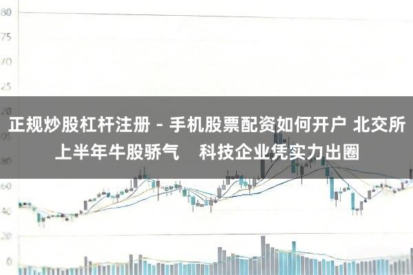 正规炒股杠杆注册 - 手机股票配资如何开户 北交所上半年牛股骄气    科技企业凭实力出圈