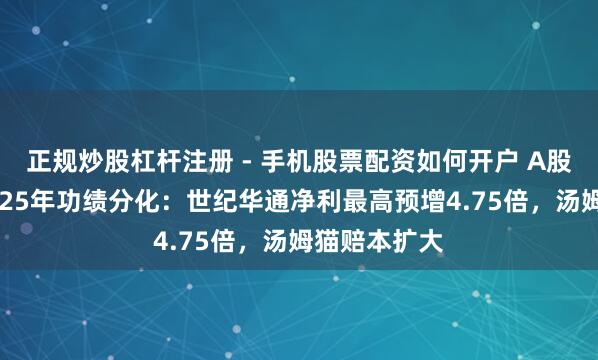 正规炒股杠杆注册 - 手机股票配资如何开户 A股游戏公司2025年功绩分化：世纪华通净利最高预增4.75倍，汤姆猫赔本扩大