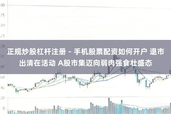 正规炒股杠杆注册 - 手机股票配资如何开户 退市出清在活动 A股市集迈向弱肉强食壮盛态