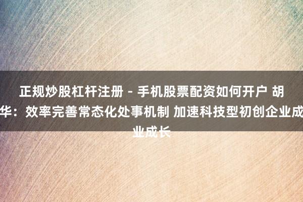 正规炒股杠杆注册 - 手机股票配资如何开户 胡衡华：效率完善常态化处事机制 加速科技型初创企业成长