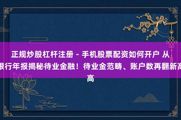 正规炒股杠杆注册 - 手机股票配资如何开户 从银行年报揭秘待业金融！待业金范畴、账户数再翻新高