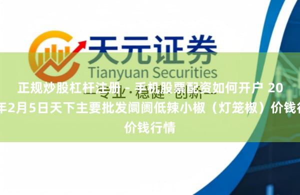 正规炒股杠杆注册 - 手机股票配资如何开户 2026年2月5日天下主要批发阛阓低辣小椒（灯笼椒）价钱行情