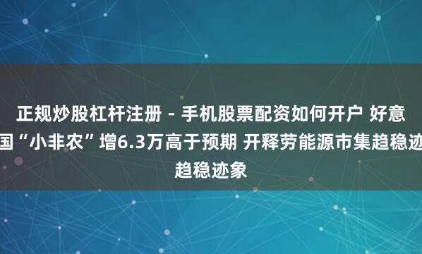 正规炒股杠杆注册 - 手机股票配资如何开户 好意思国“小非农”增6.3万高于预期 开释劳能源市集趋稳迹象