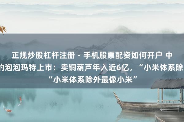 正规炒股杠杆注册 - 手机股票配资如何开户 中年东说念主的泡泡玛特上市：卖铜葫芦年入近6亿，“小米体系除外最像小米”