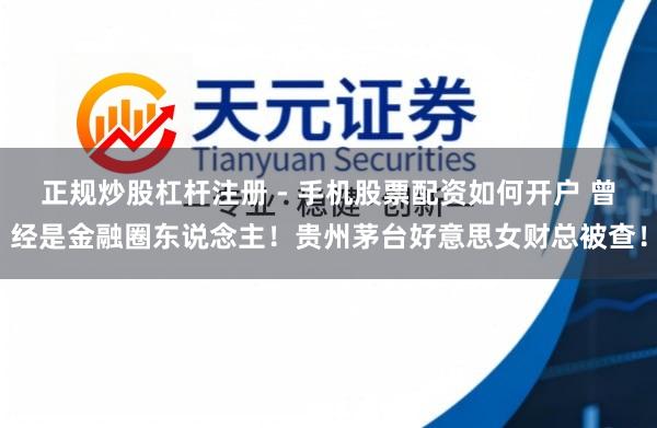 正规炒股杠杆注册 - 手机股票配资如何开户 曾经是金融圈东说念主！贵州茅台好意思女财总被查！